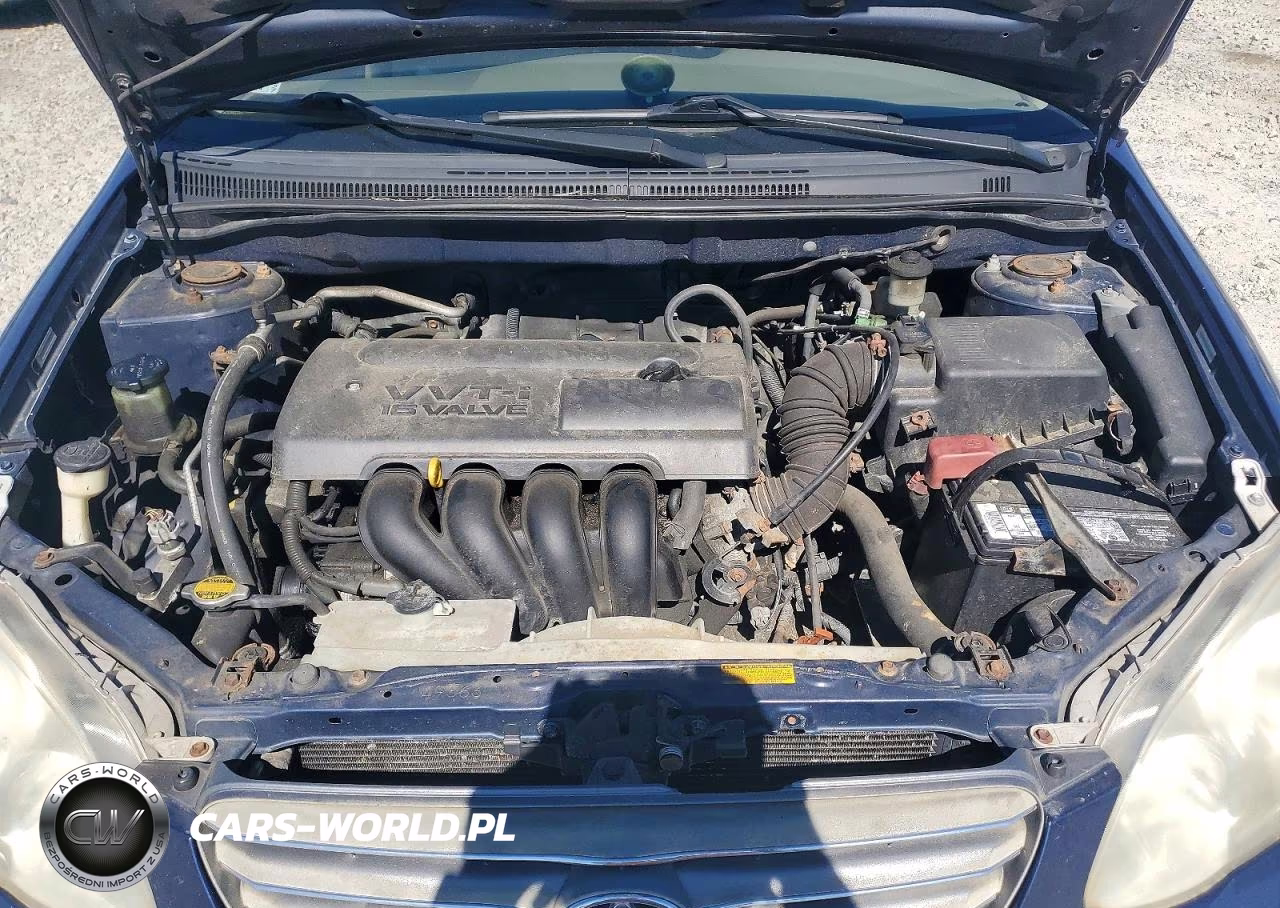 2004 Toyota Corolla Le VIN:2T1BR32E74C256284 - 11