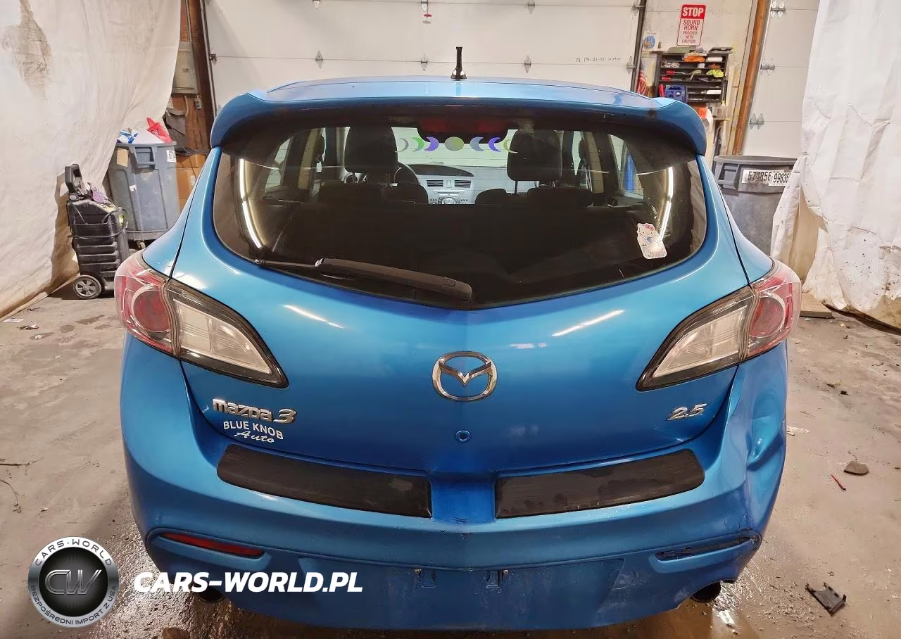 2010 Mazda 3 S VIN:JM1BL1H62A1305090 - 6