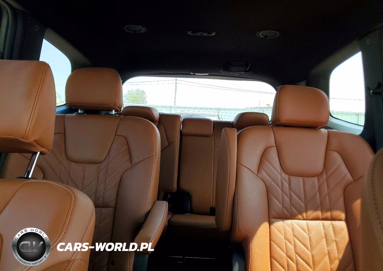 2024 Kia Telluride Ex X-Line VIN:5XYP3DGC4RG468690 - 10