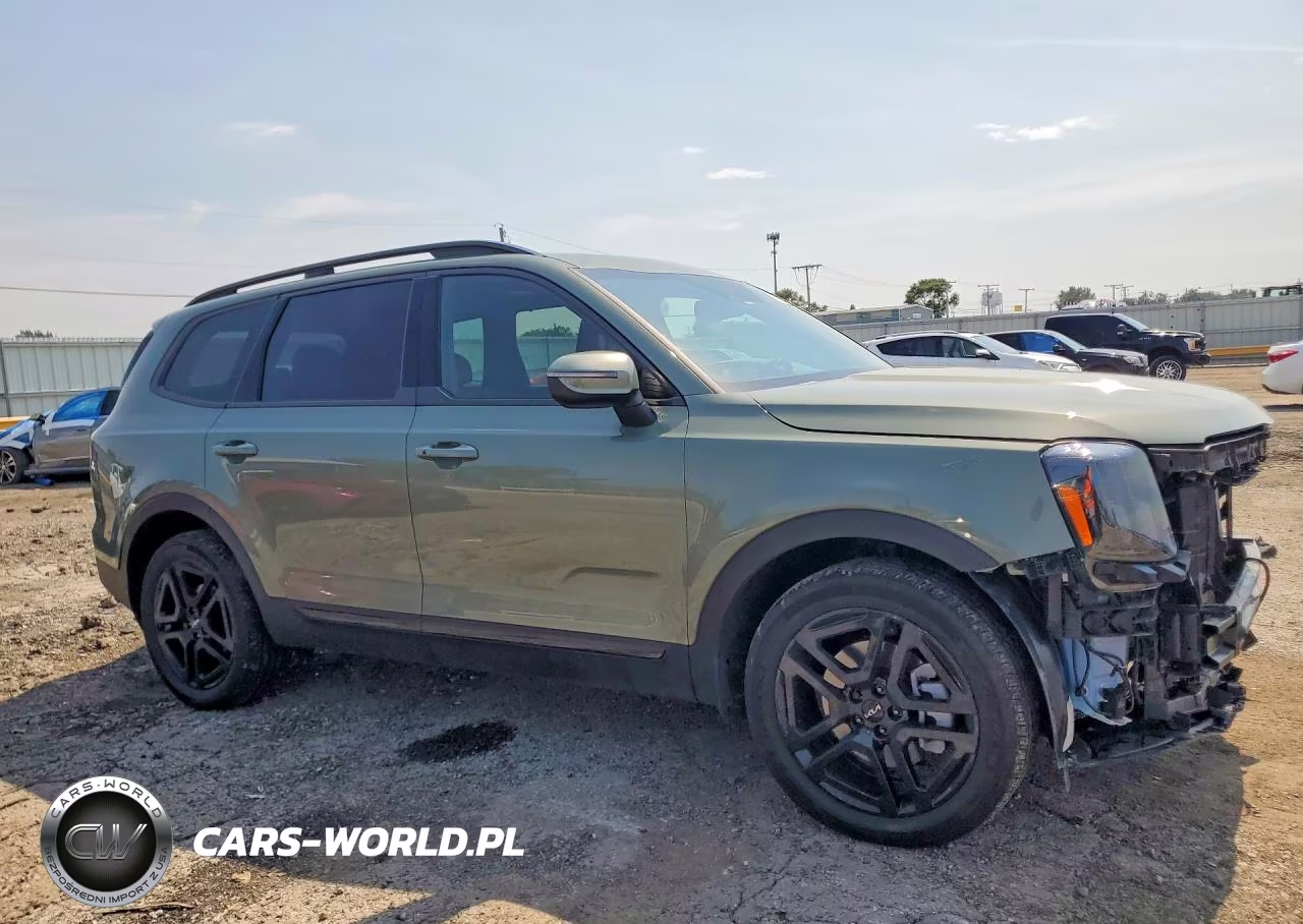 2024 Kia Telluride Ex X-Line VIN:5XYP3DGC4RG468690 - 4