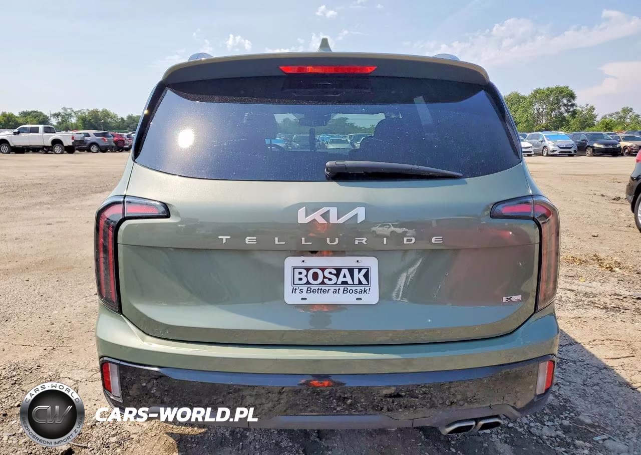 2024 Kia Telluride Ex X-Line VIN:5XYP3DGC4RG468690 - 6