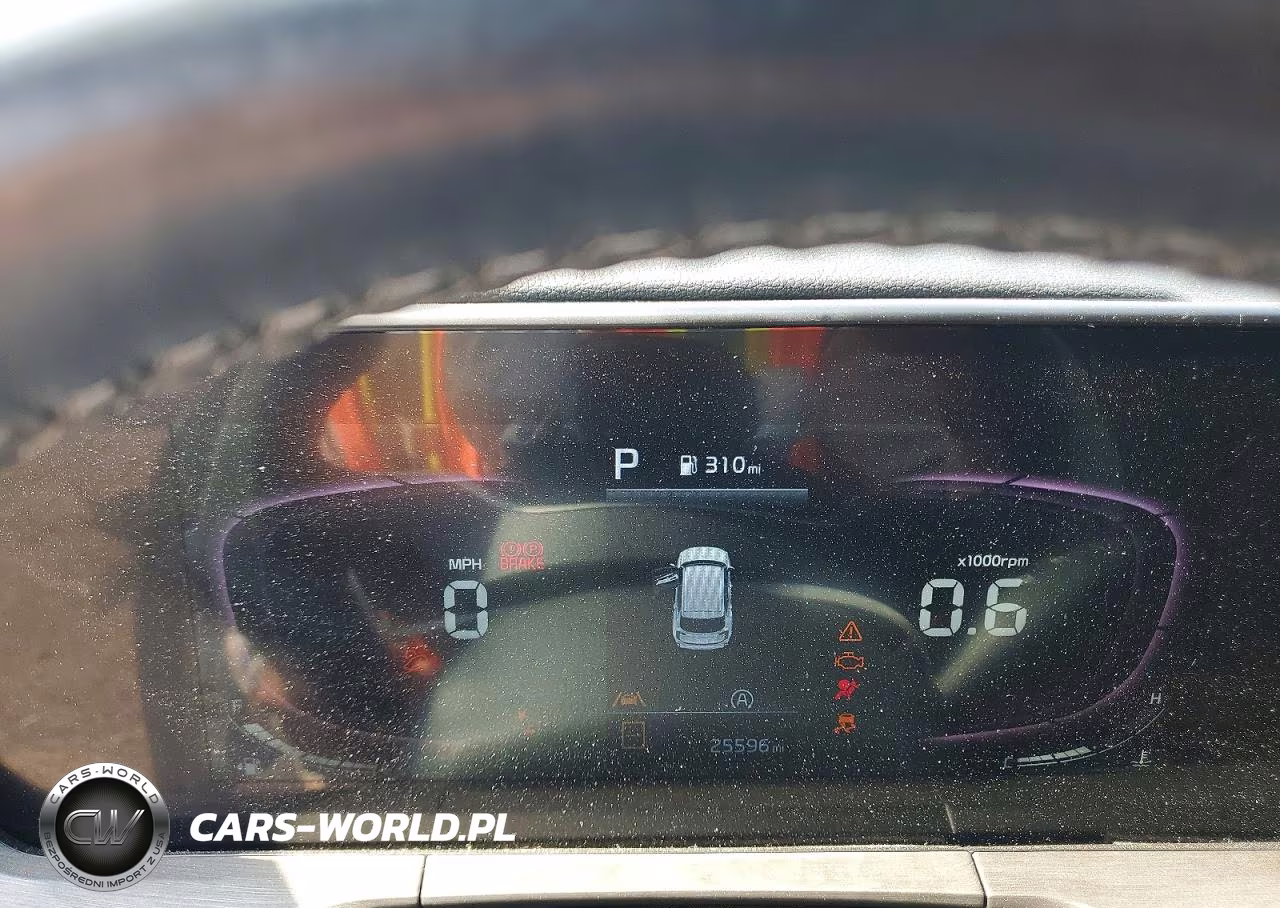 2024 Kia Telluride Ex X-Line VIN:5XYP3DGC4RG468690 - 9