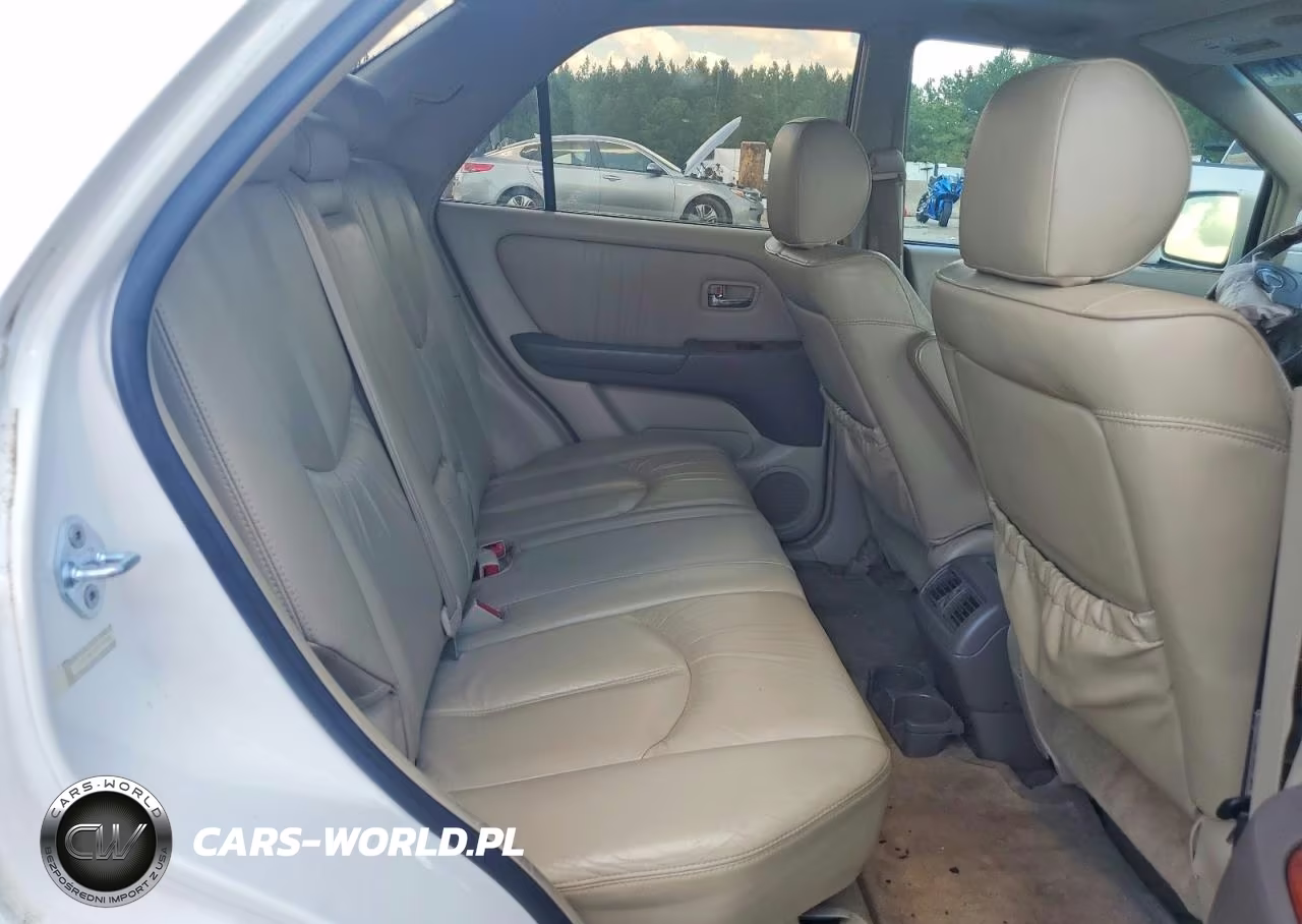 2003 Lexus Rx 300 VIN:JTJHF10UX30294986 - 10