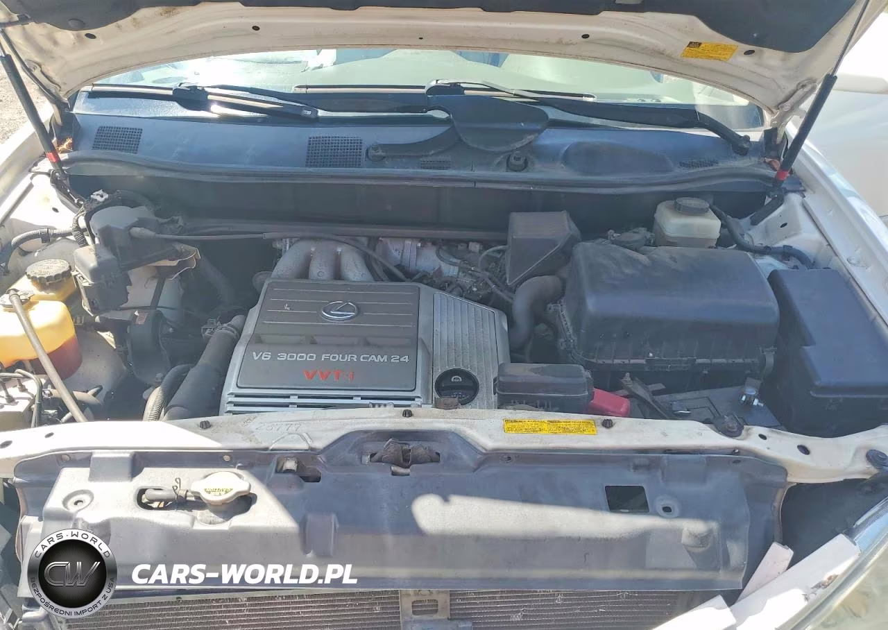 2003 Lexus Rx 300 VIN:JTJHF10UX30294986 - 11