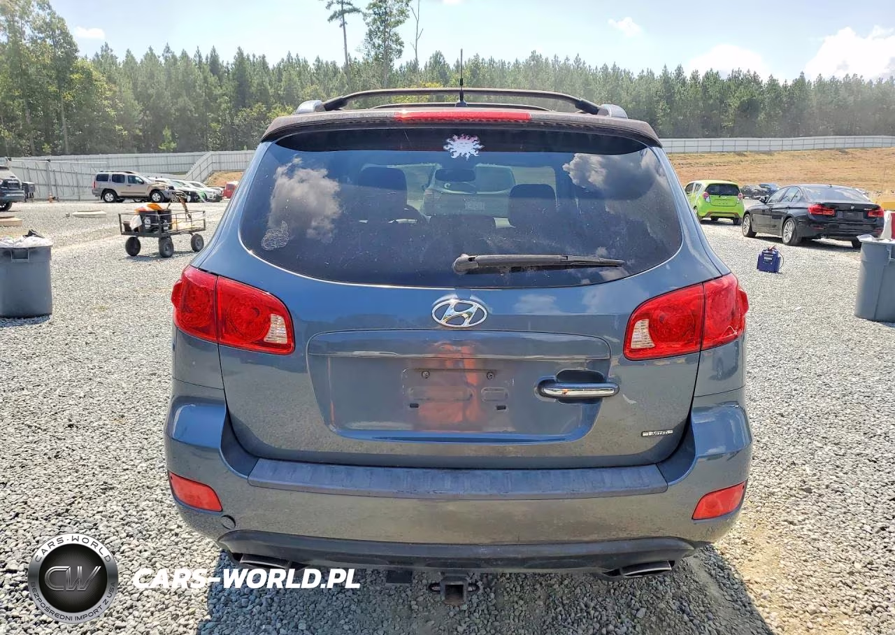 2007 Hyundai Santa Fe Se VIN:5NMSH13E77H030329 - 6