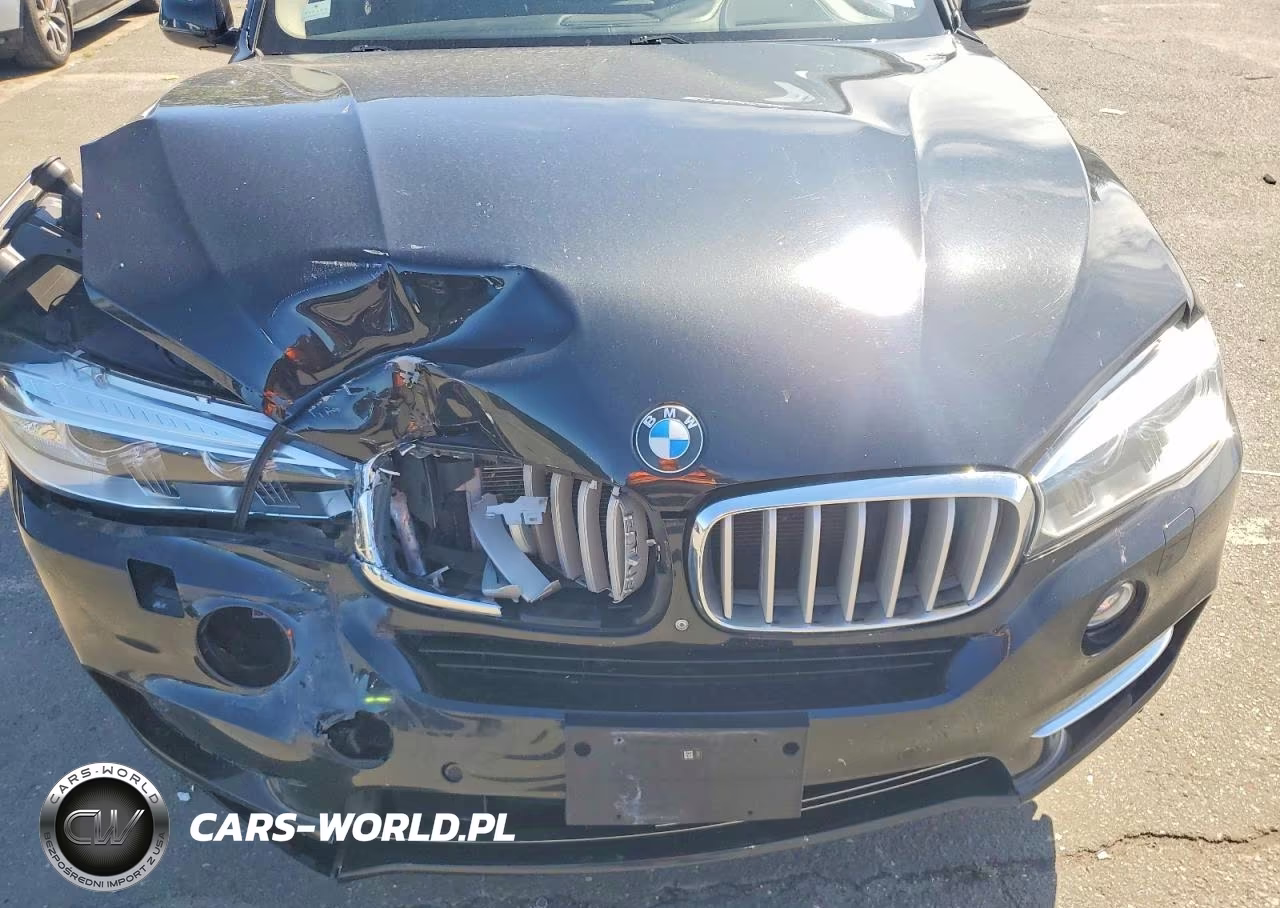 2015 BMW X5 xDrive50I VIN:5UXKR6C56F0J75868 - 12