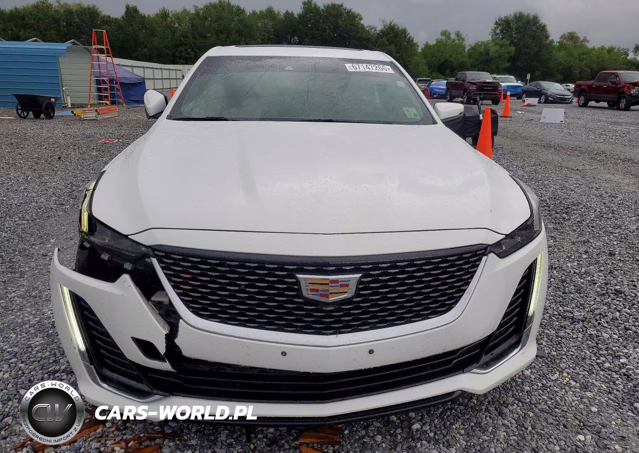 2021 Cadillac Ct5 Premium Luxury VIN:1G6DN5RK8M0124028 - 5