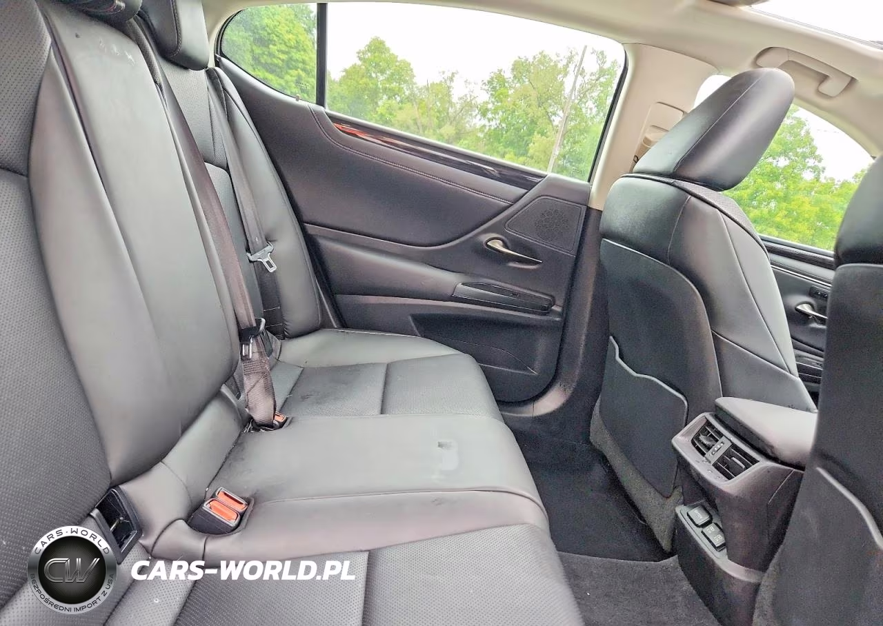 2020 Lexus Es 350 VIN:58ADZ1B11LU056081 - 10