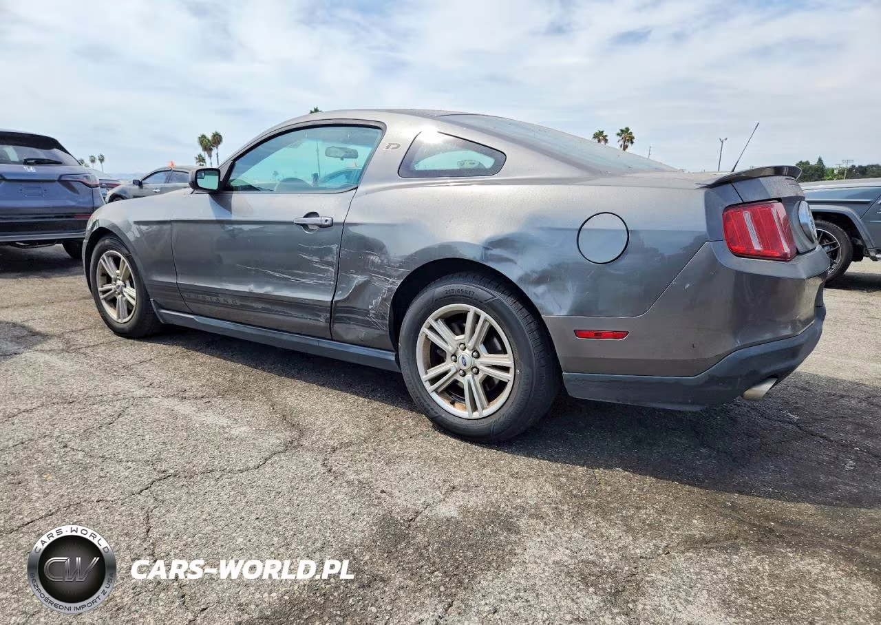 2011 Ford Mustang VIN:1ZVBP8AMXB5169031 - 2