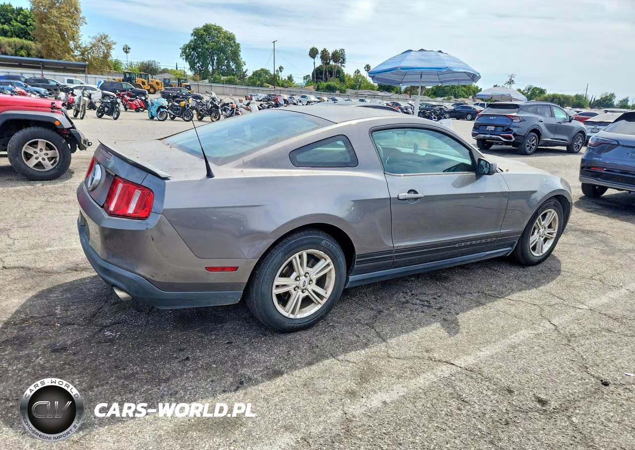 2011 Ford Mustang VIN:1ZVBP8AMXB5169031 - 3