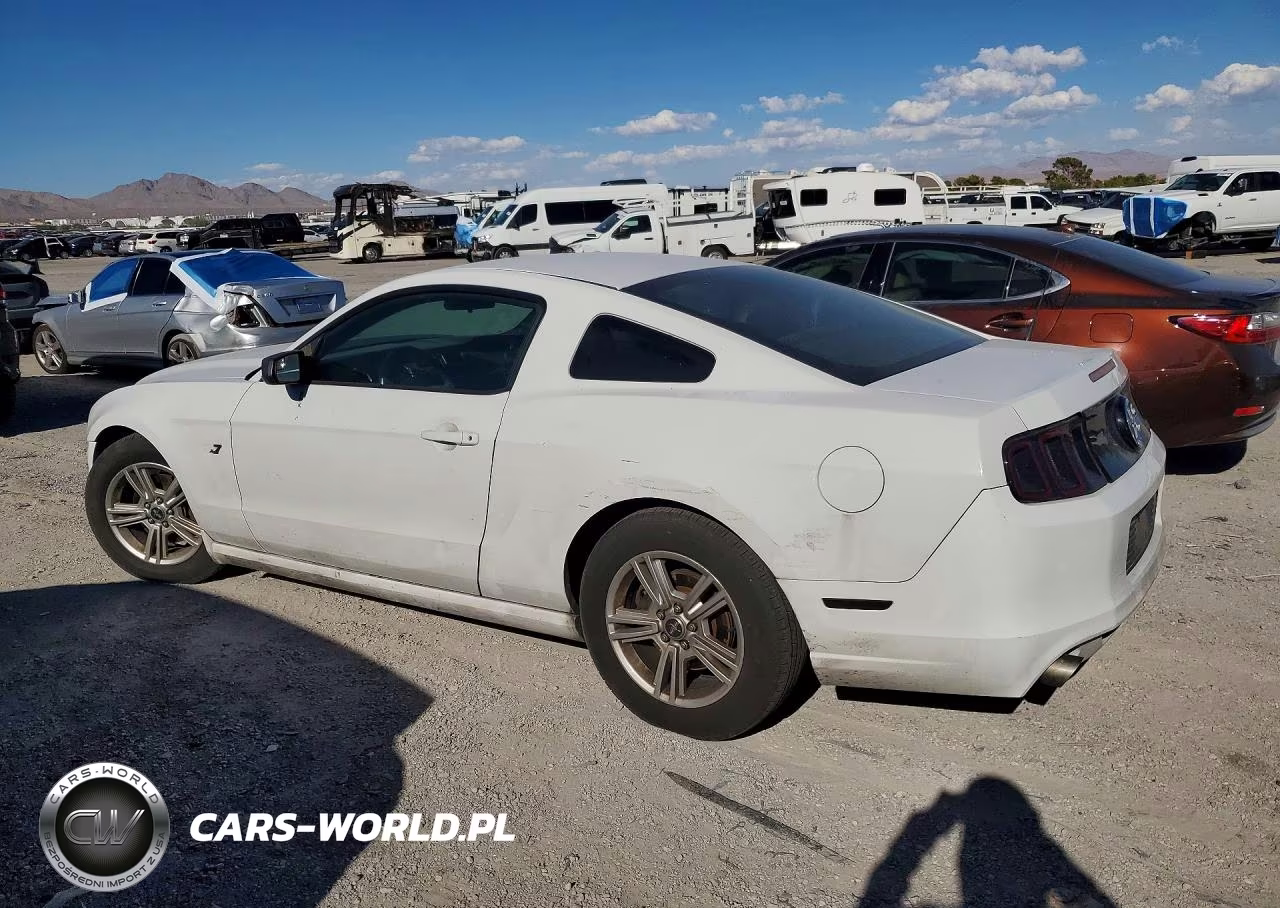 2014 Ford Mustang VIN:1ZVBP8AM8E5328195 - 2
