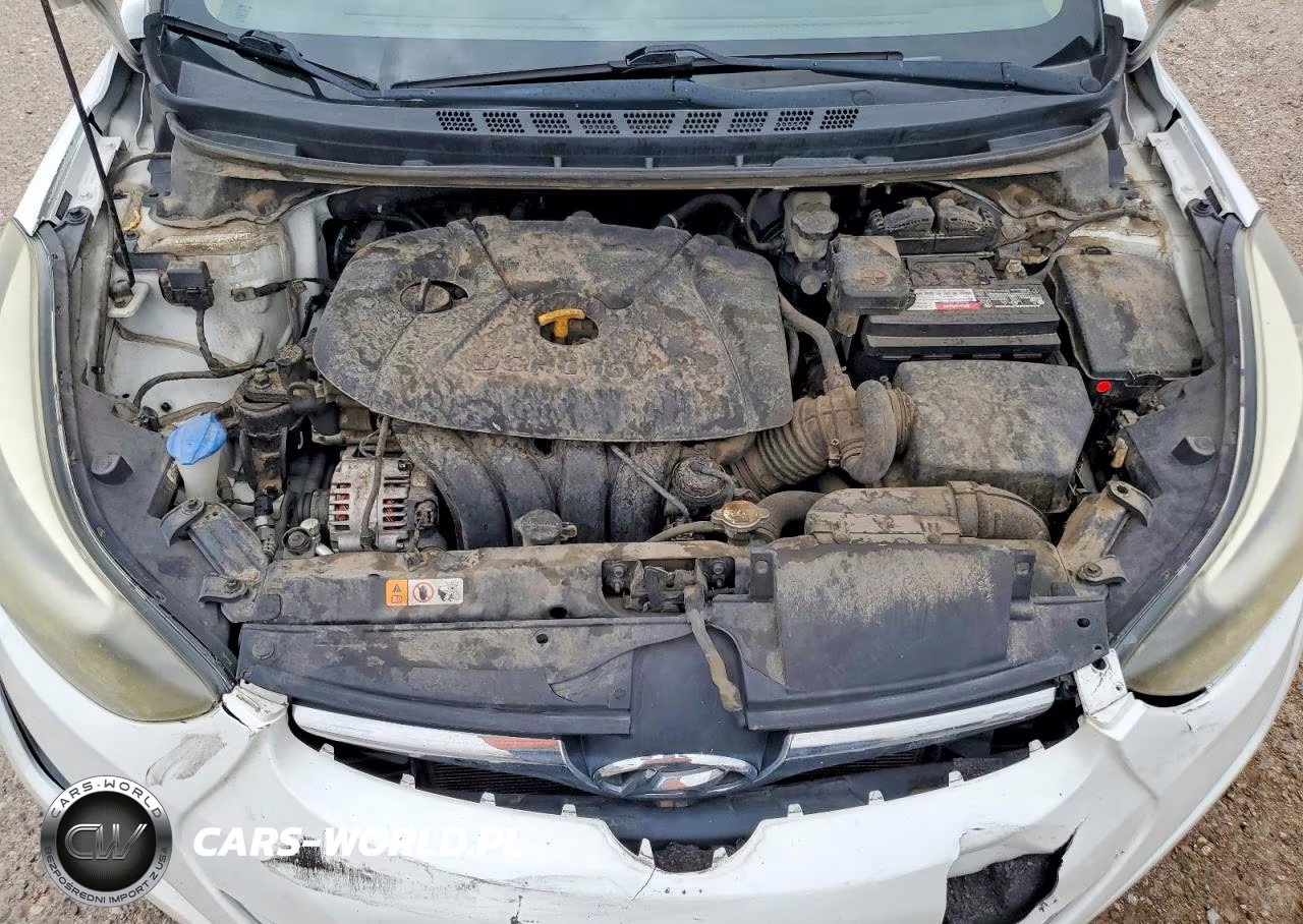 2015 Hyundai Elantra Se VIN:5NPDH4AEXFH563693 - 11