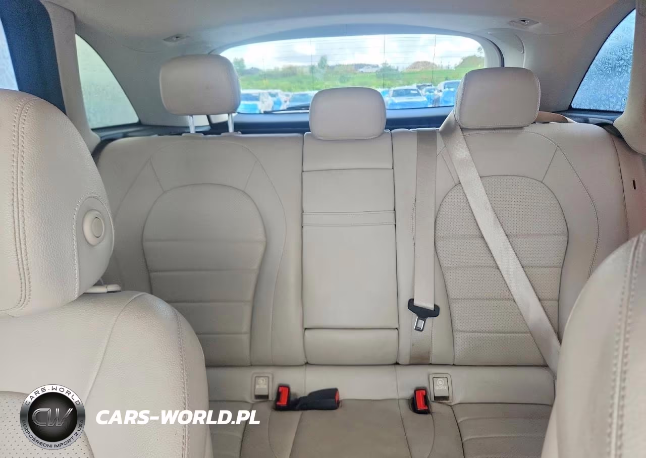 2020 Mercedes-Benz Glc 300 VIN:W1N0G8DB3LF851239 - 10