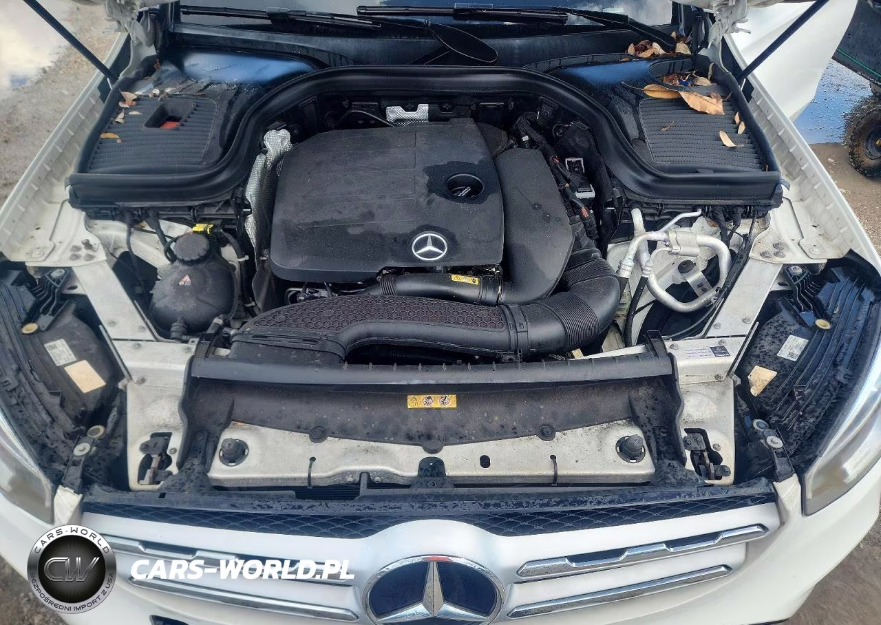2020 Mercedes-Benz Glc 300 VIN:W1N0G8DB3LF851239 - 12