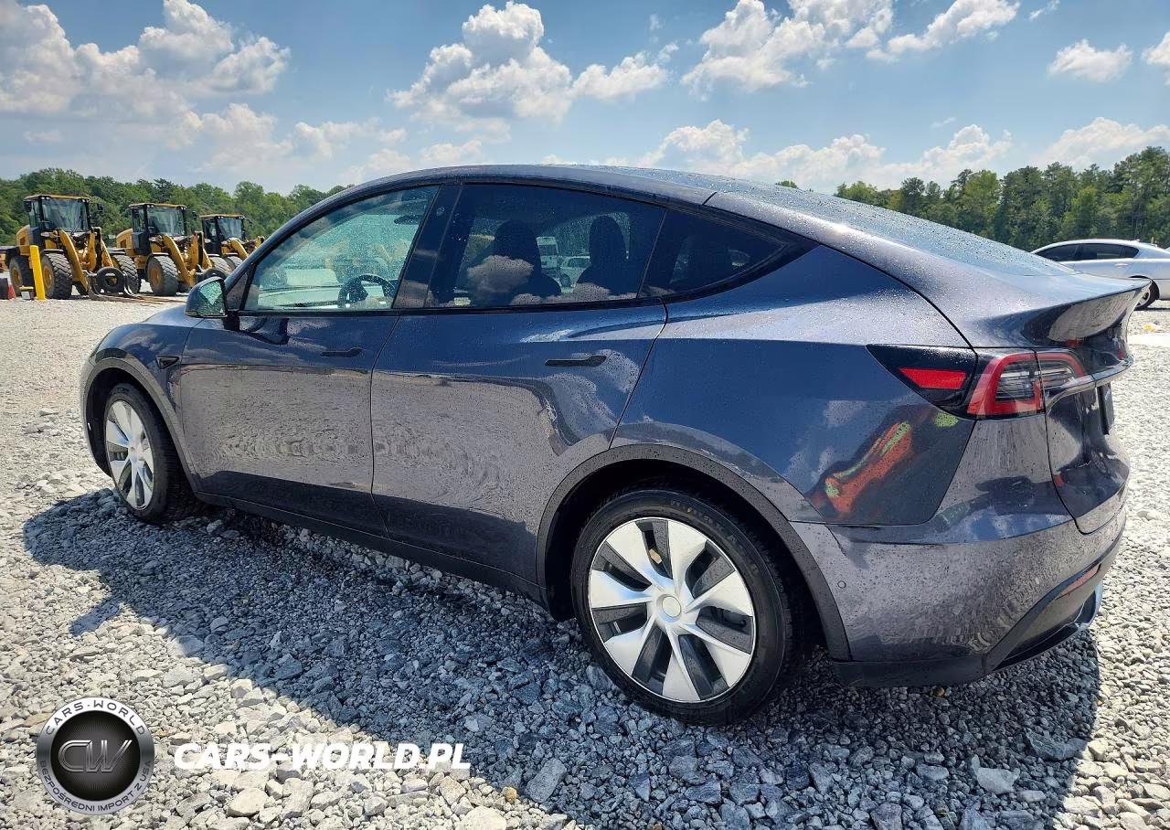 2021 Tesla Model Y VIN:5YJYGAEE1MF243204 - 2