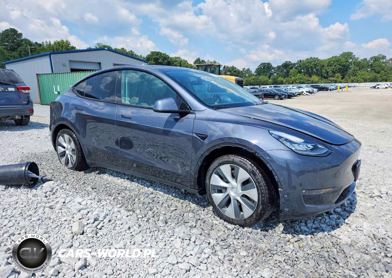 2021 Tesla Model Y VIN:5YJYGAEE1MF243204 - 4