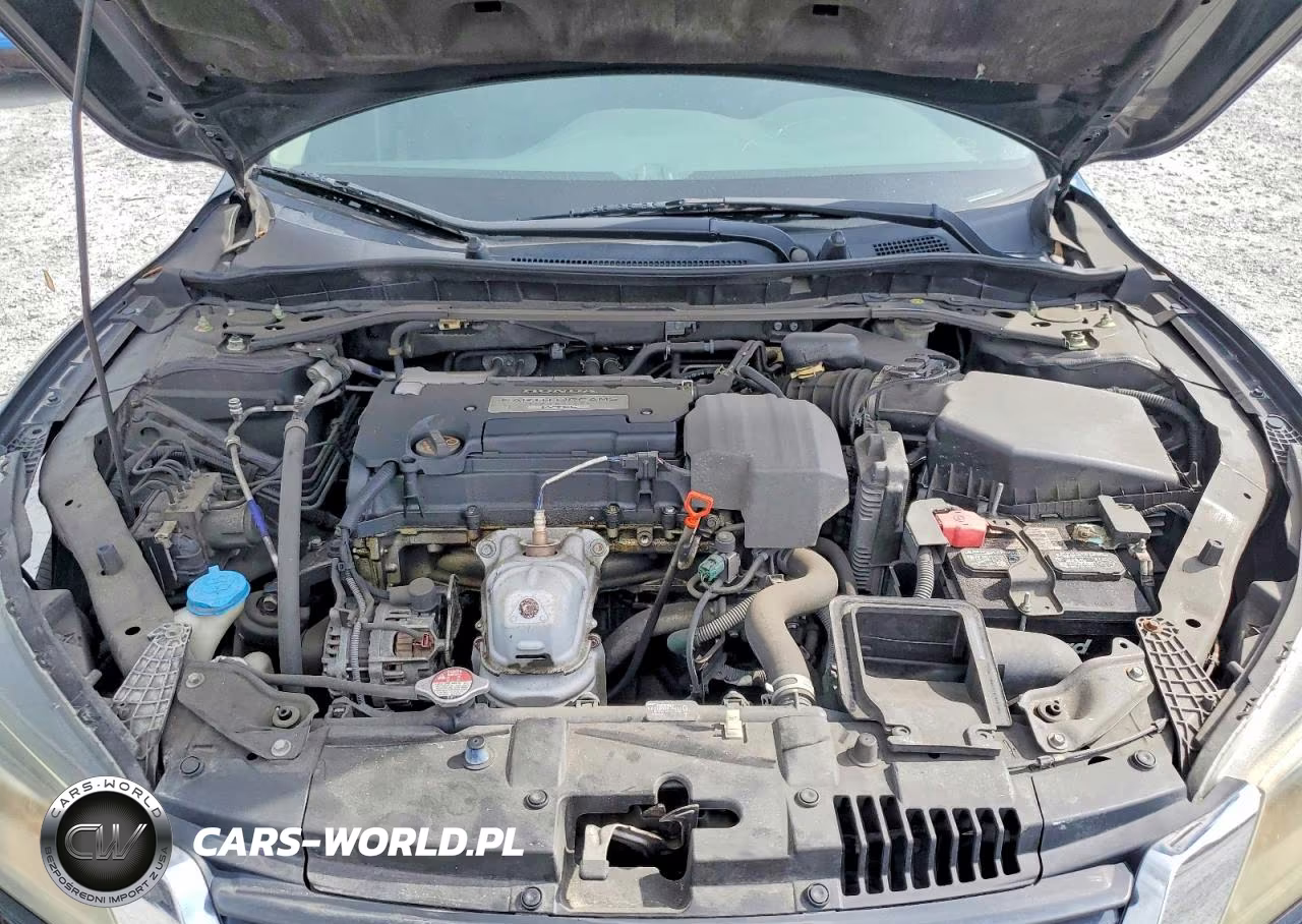 2013 Honda Accord Exl VIN:1HGCR2F82DA266259 - 11