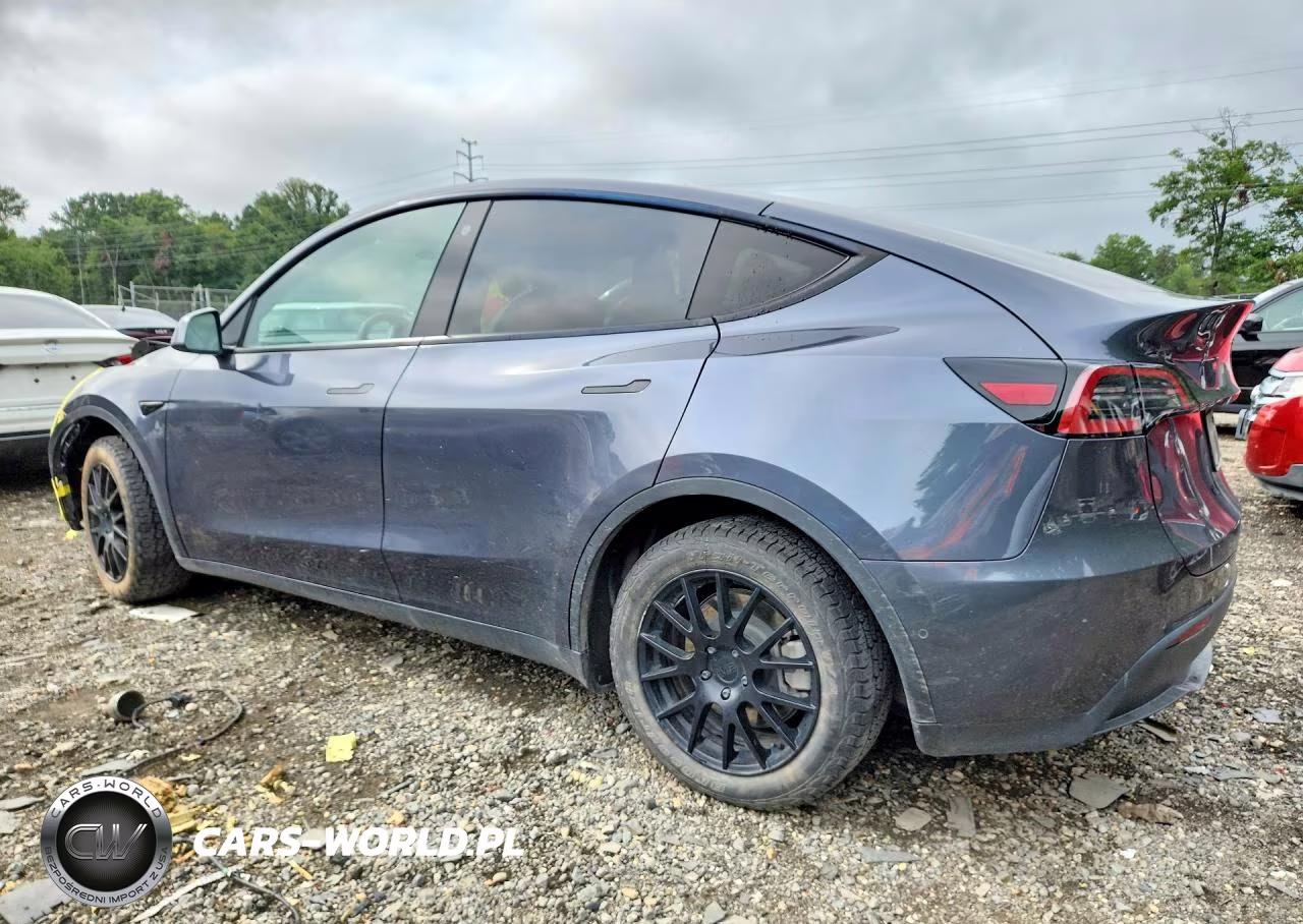 2022 Tesla Model Y VIN:7SAYGDEE1NA002973 - 2