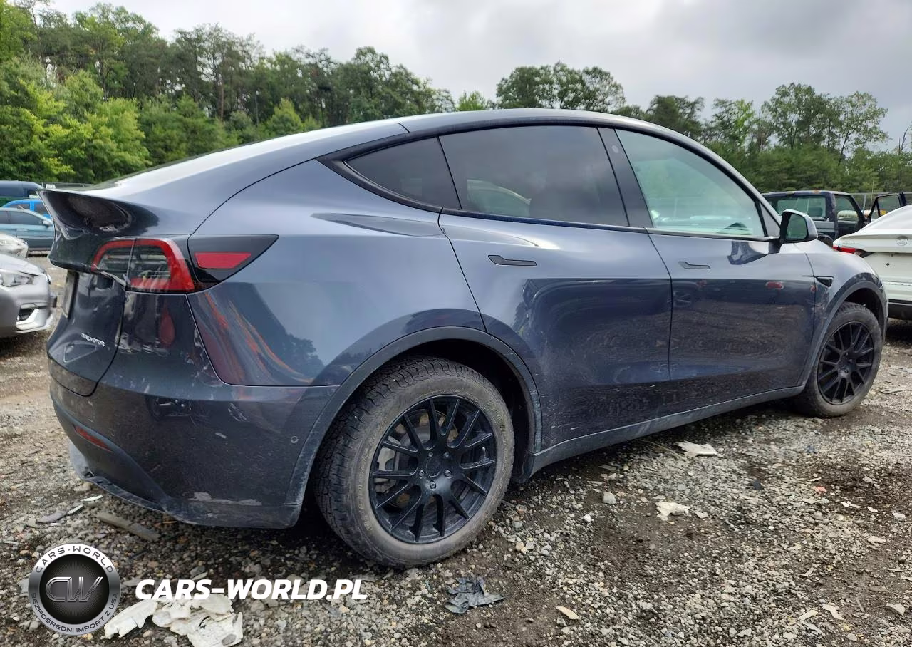 2022 Tesla Model Y VIN:7SAYGDEE1NA002973 - 3