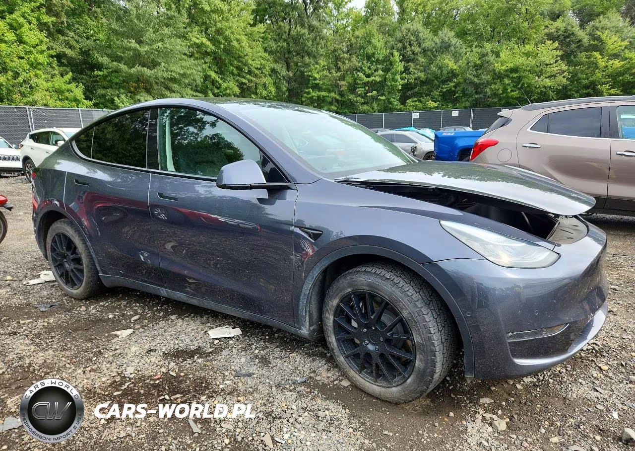 2022 Tesla Model Y VIN:7SAYGDEE1NA002973 - 4
