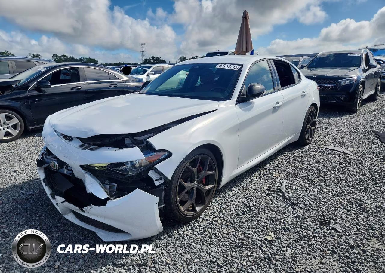 2020 Alfa Romeo Giulia VIN:ZARFAMAN5L7630851 - 1