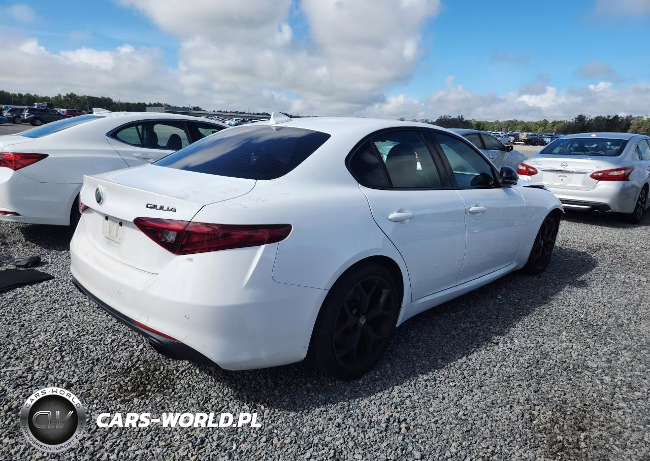 2020 Alfa Romeo Giulia VIN:ZARFAMAN5L7630851 - 3
