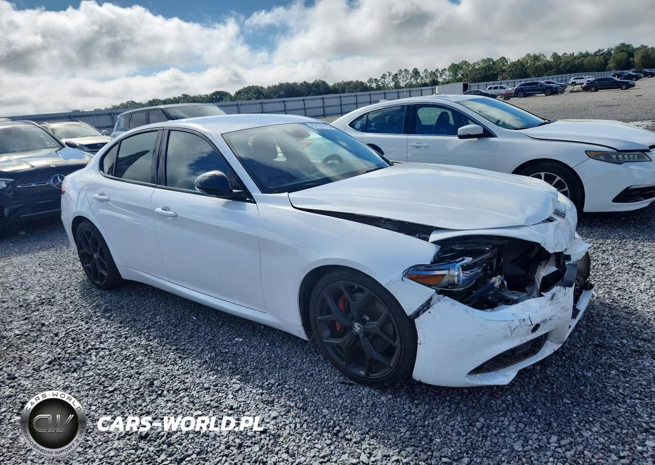 2020 Alfa Romeo Giulia VIN:ZARFAMAN5L7630851 - 4