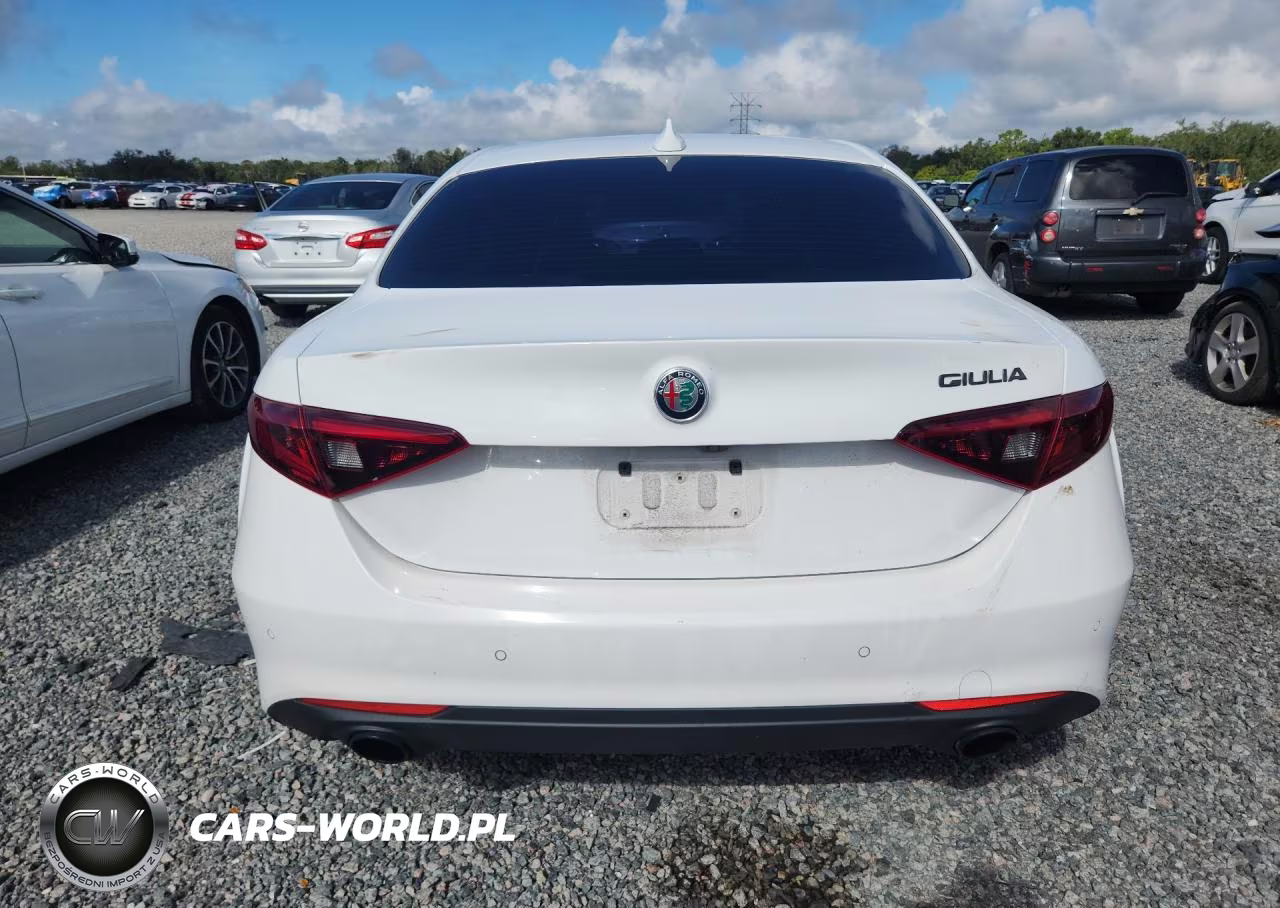 2020 Alfa Romeo Giulia VIN:ZARFAMAN5L7630851 - 6