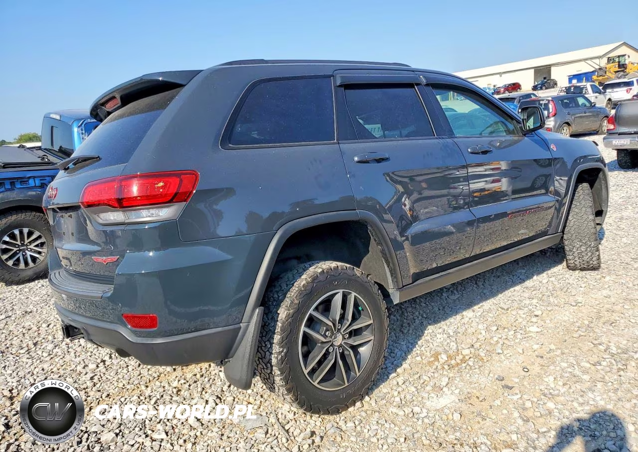 2017 Jeep Grand Cherokee Trailhawk VIN:1C4RJFLG5HC889856 - 3