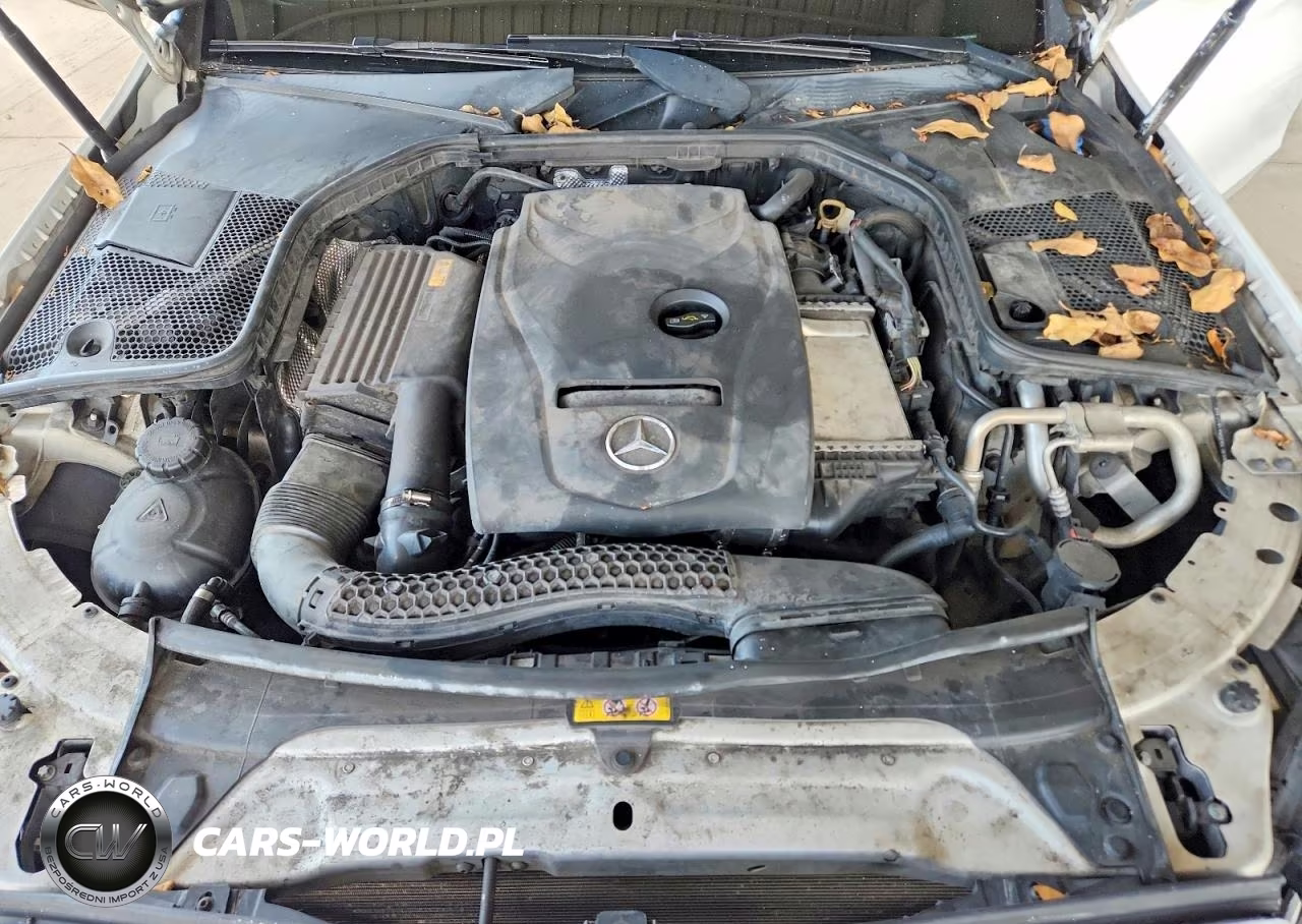 2018 Mercedes-Benz C 300 VIN:55SWF4JB5JU238637 - 11