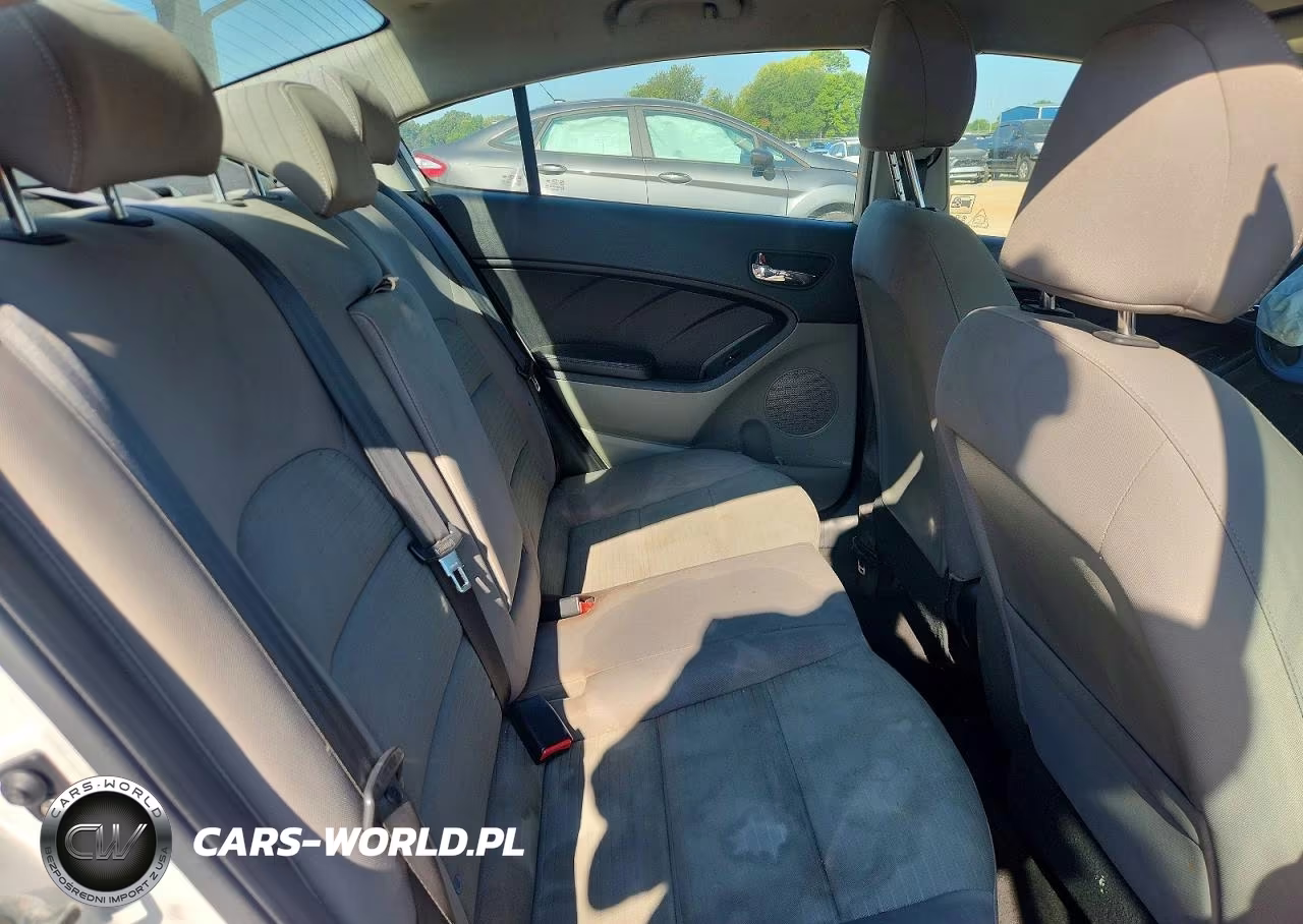 2015 Kia Forte Lx VIN:KNAFX4A64F5399391 - 10