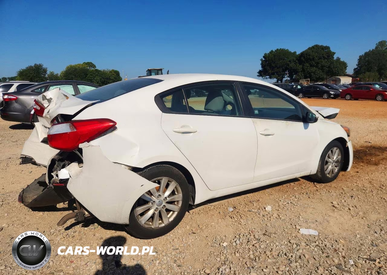 2015 Kia Forte Lx VIN:KNAFX4A64F5399391 - 3