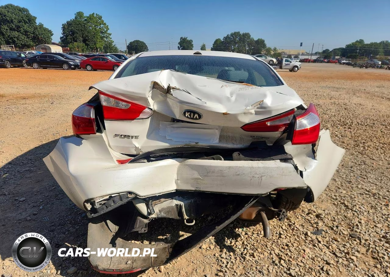 2015 Kia Forte Lx VIN:KNAFX4A64F5399391 - 6