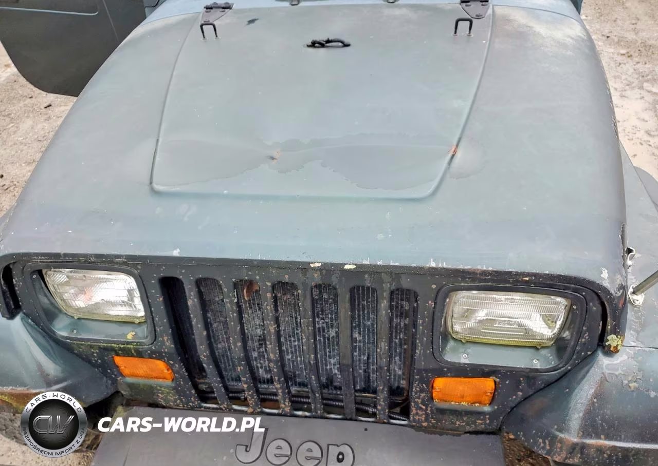 1993 Jeep Wrangler - Yj VIN:1J4FY29S7PP259809 - 12
