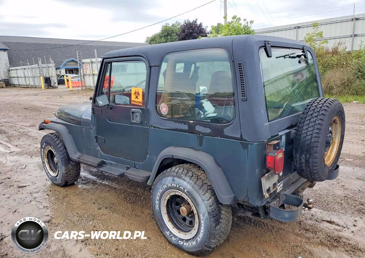 1993 Jeep Wrangler - Yj VIN:1J4FY29S7PP259809 - 2