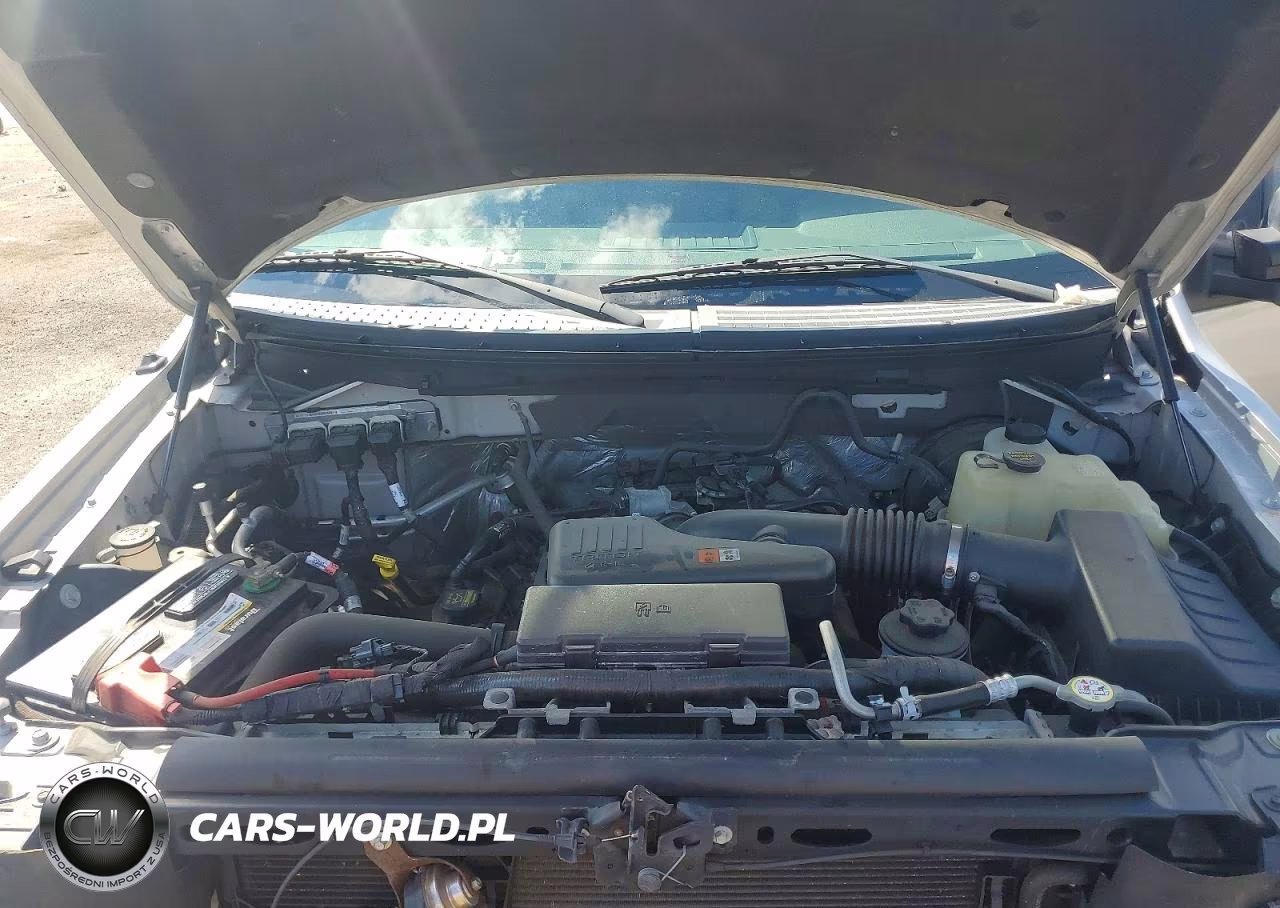 2010 Ford F150 VIN:1FTMF1CW1AKB84134 - 11