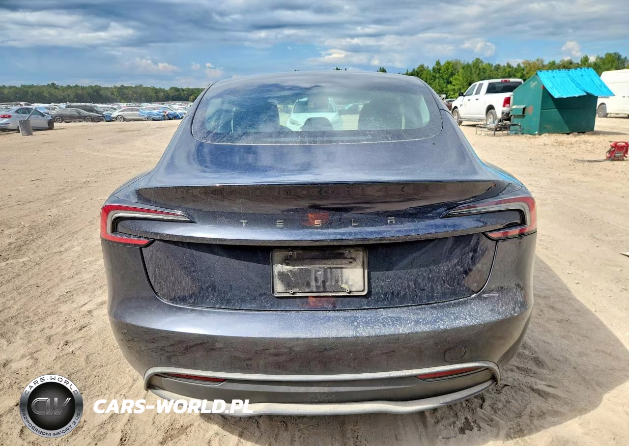 2025 Tesla Model 3 VIN:5YJ3E1EA4SF890917 - 6