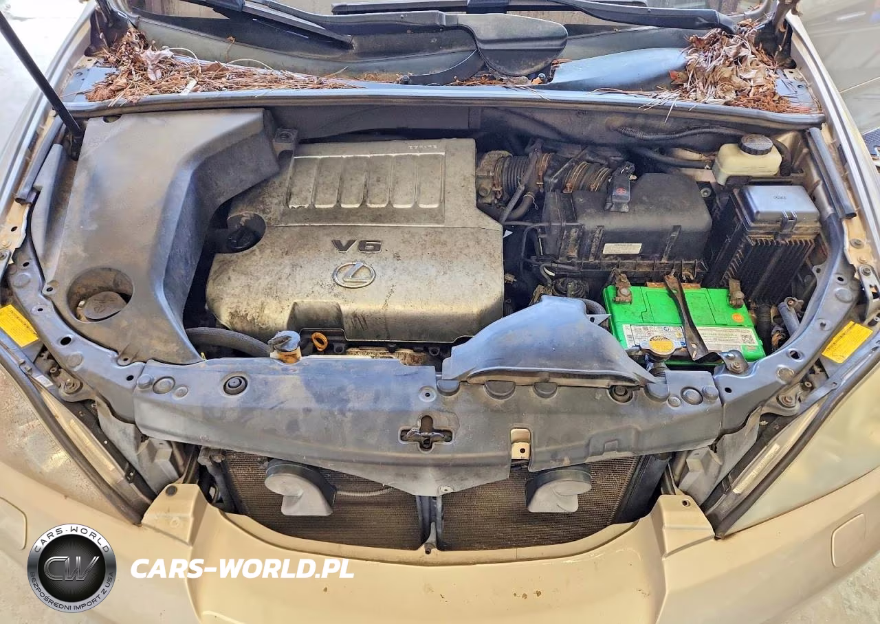 2007 Lexus Rx 350 VIN:2T2HK31U27C032637 - 12