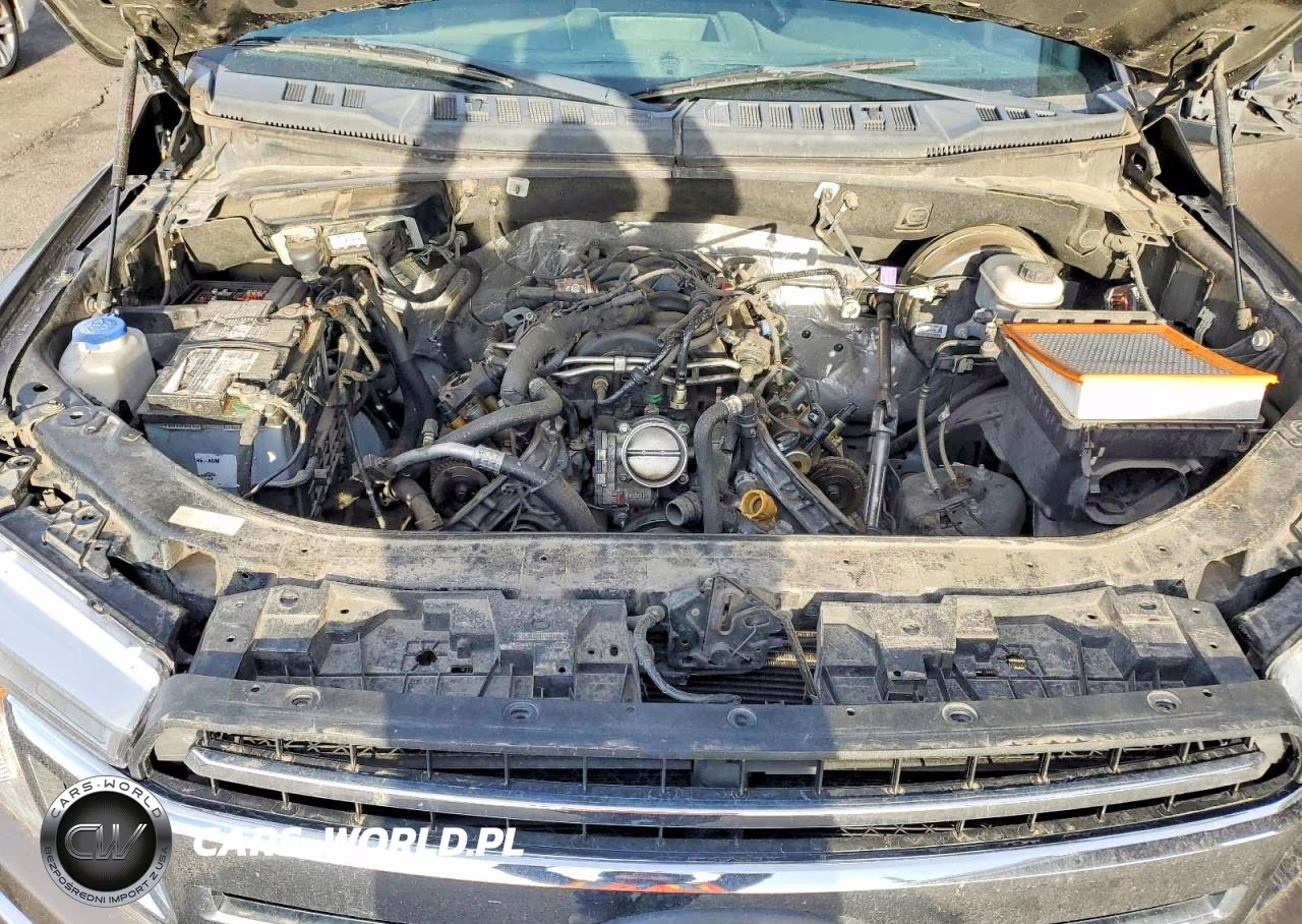 2019 Ford F150 Supercrew VIN:1FTEW1C55KKC38533 - 11