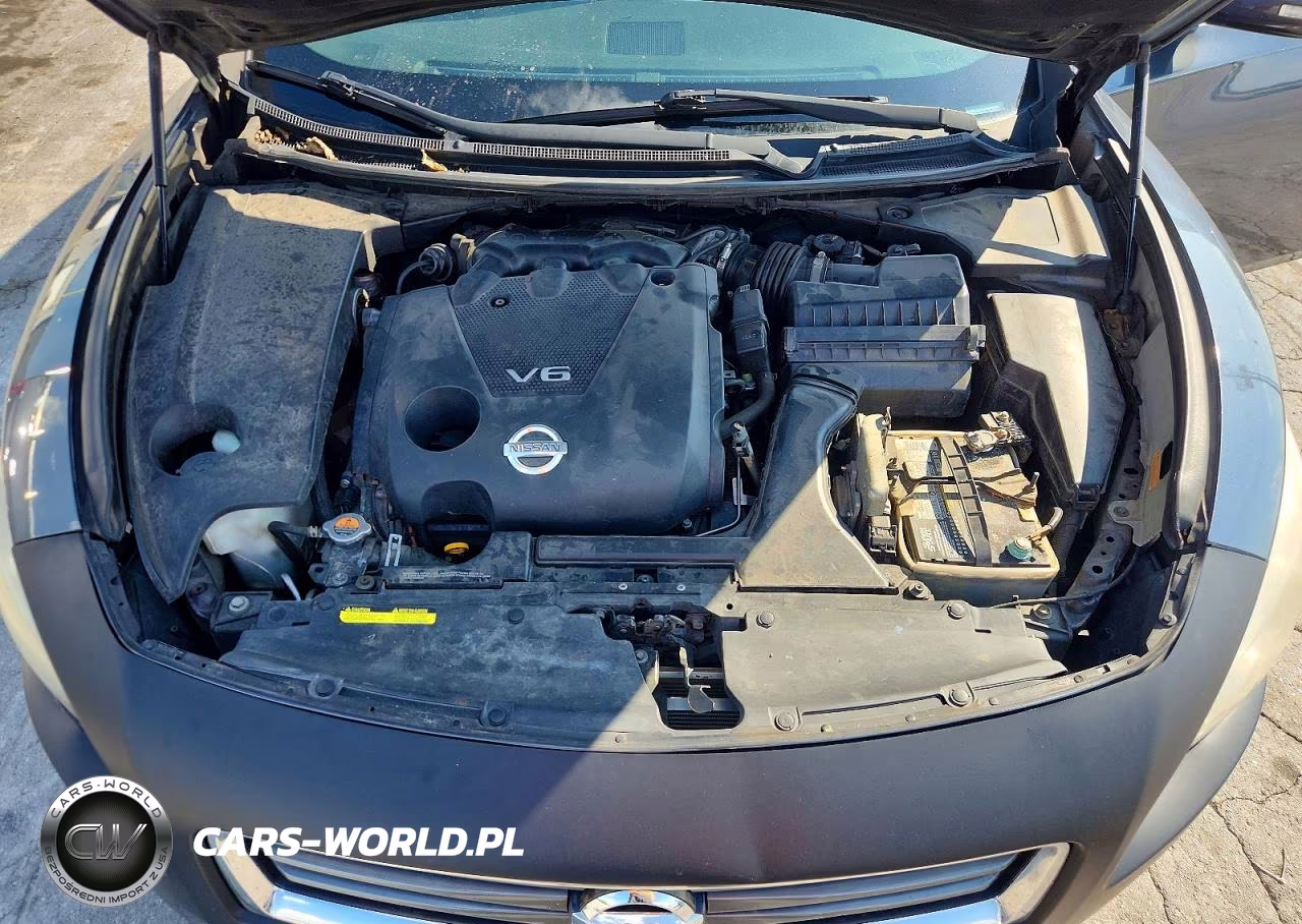 2013 Nissan Maxima 3.5 Sv VIN:1N4AA5AP4DC845003 - 11