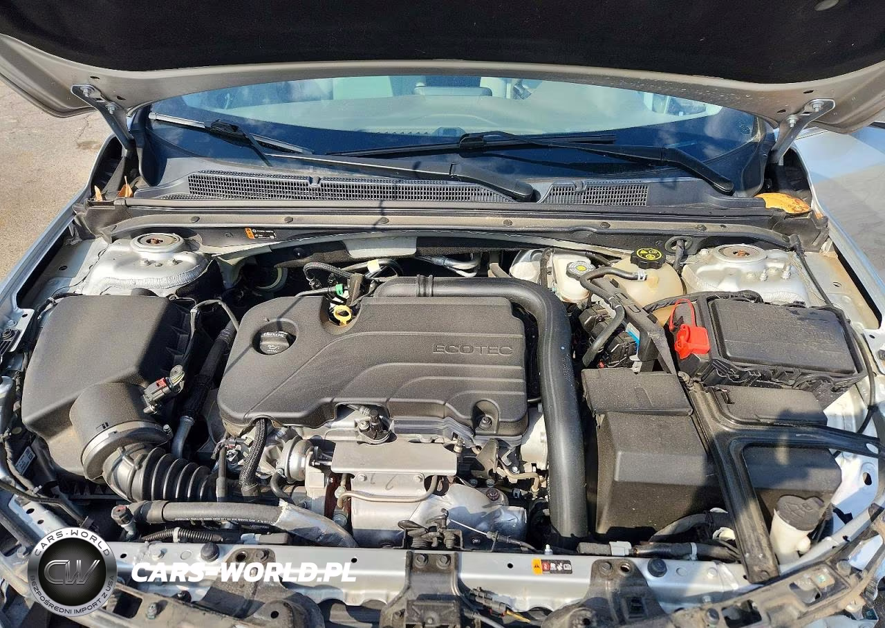 2019 Chevrolet Malibu Lt VIN:1G1ZD5ST9KF187800 - 11