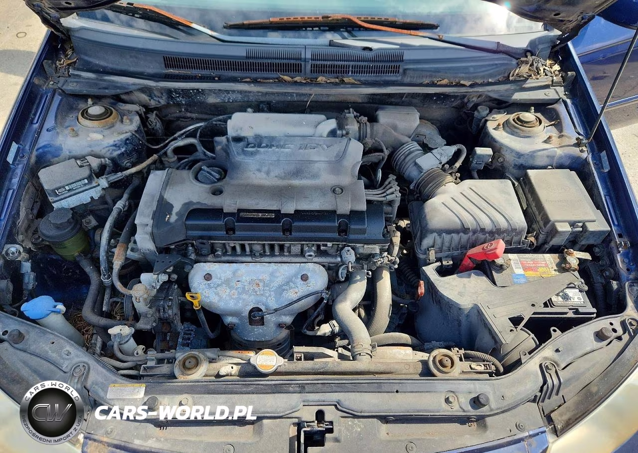 2007 Kia Spectra Lx VIN:KNAFE121X75439546 - 11