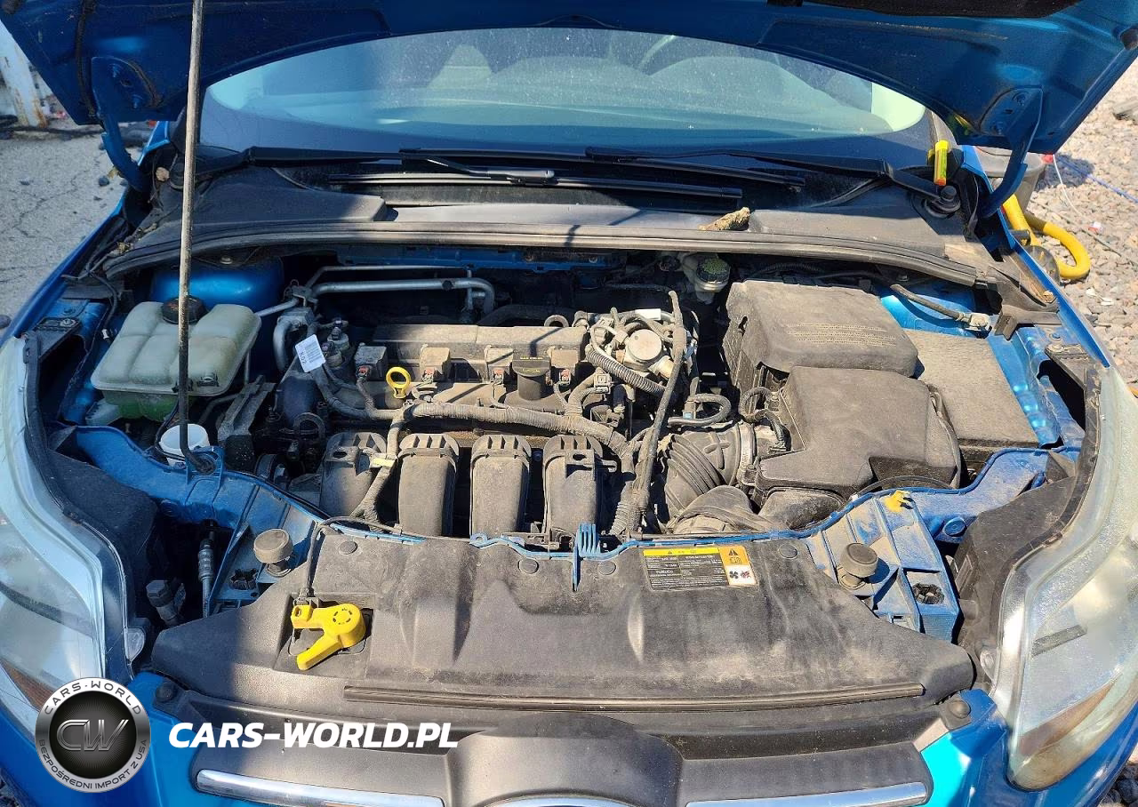2014 Ford Focus Se VIN:1FADP3F25EL105247 - 11