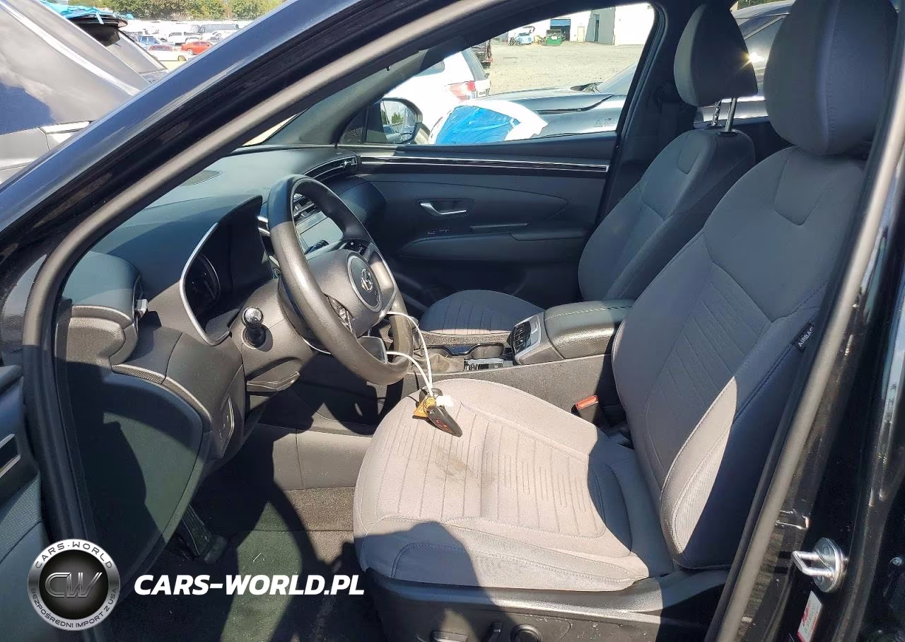 2024 Hyundai Santa Cruz Sel VIN:5NTJBDAE0RH088730 - 7