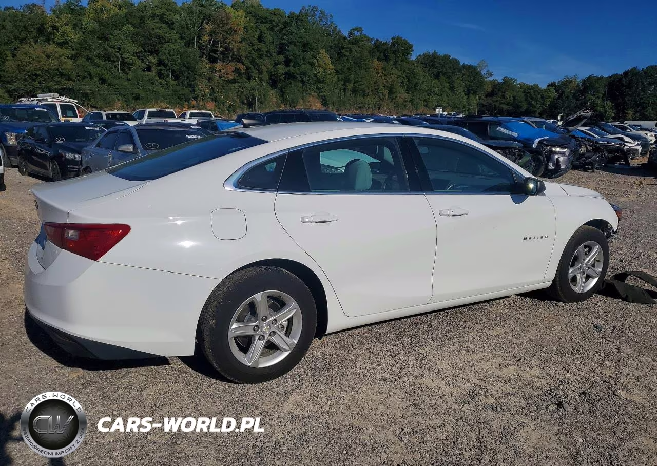 2023 Chevrolet Malibu Ls VIN:1G1ZC5ST1PF203174 - 3