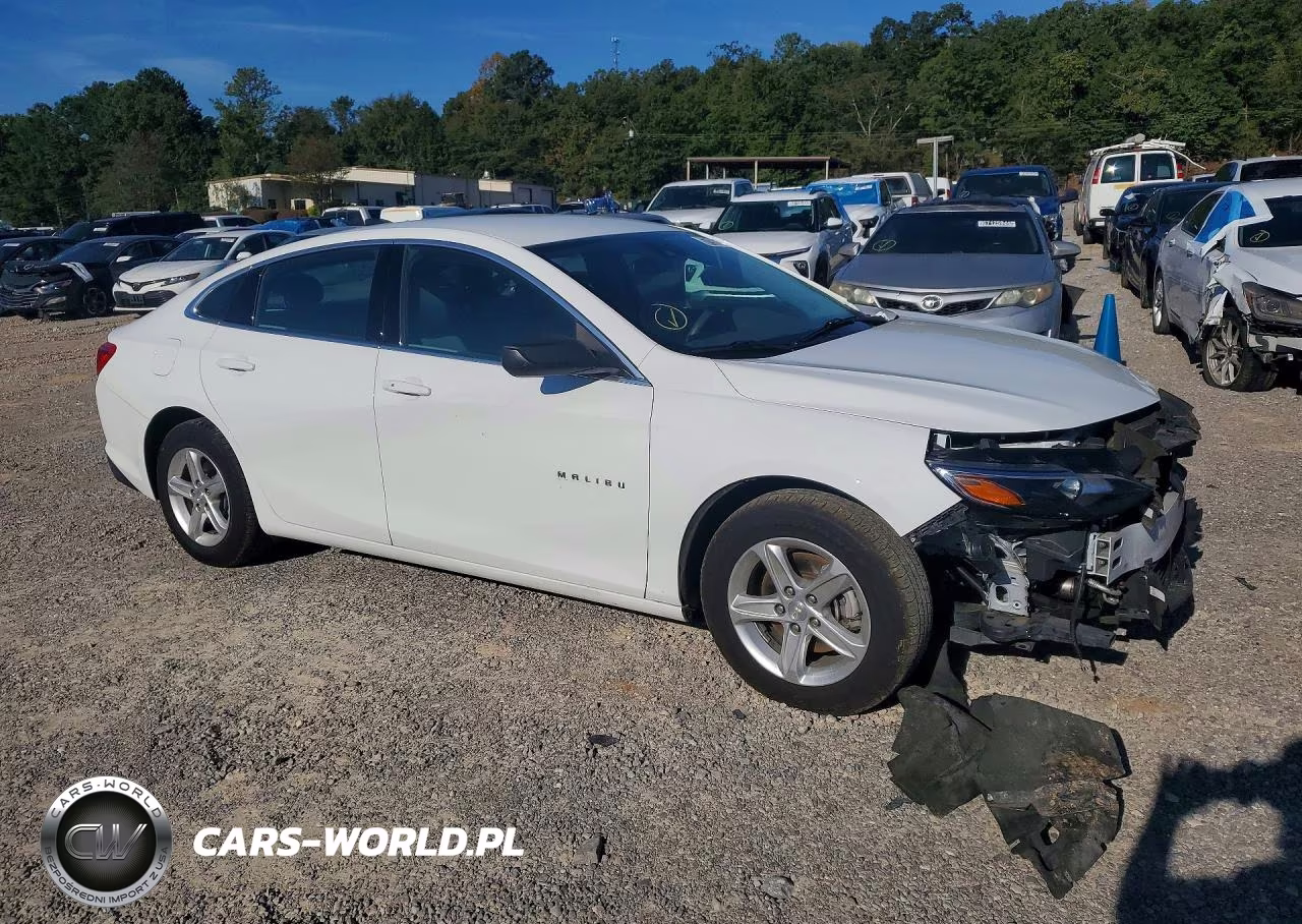 2023 Chevrolet Malibu Ls VIN:1G1ZC5ST1PF203174 - 4