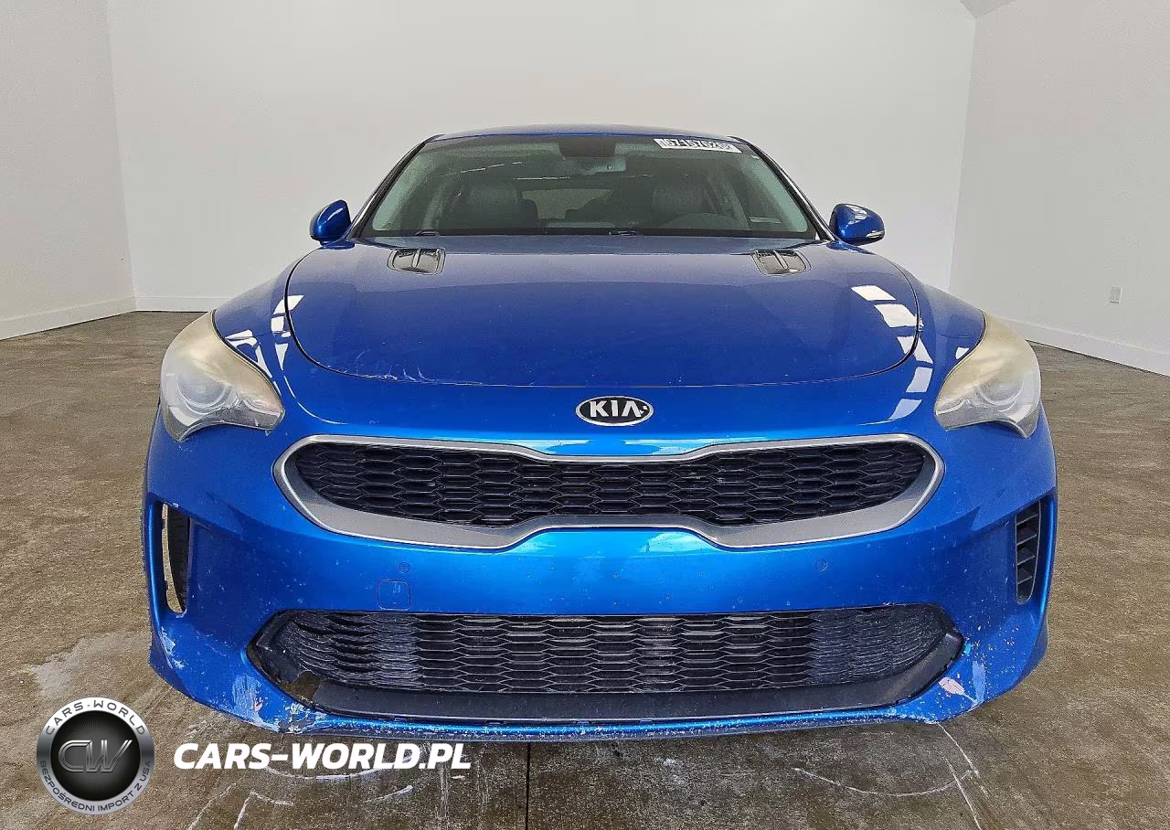 2018 Kia Stinger Base VIN:KNAE15LA3J6036247 - 5