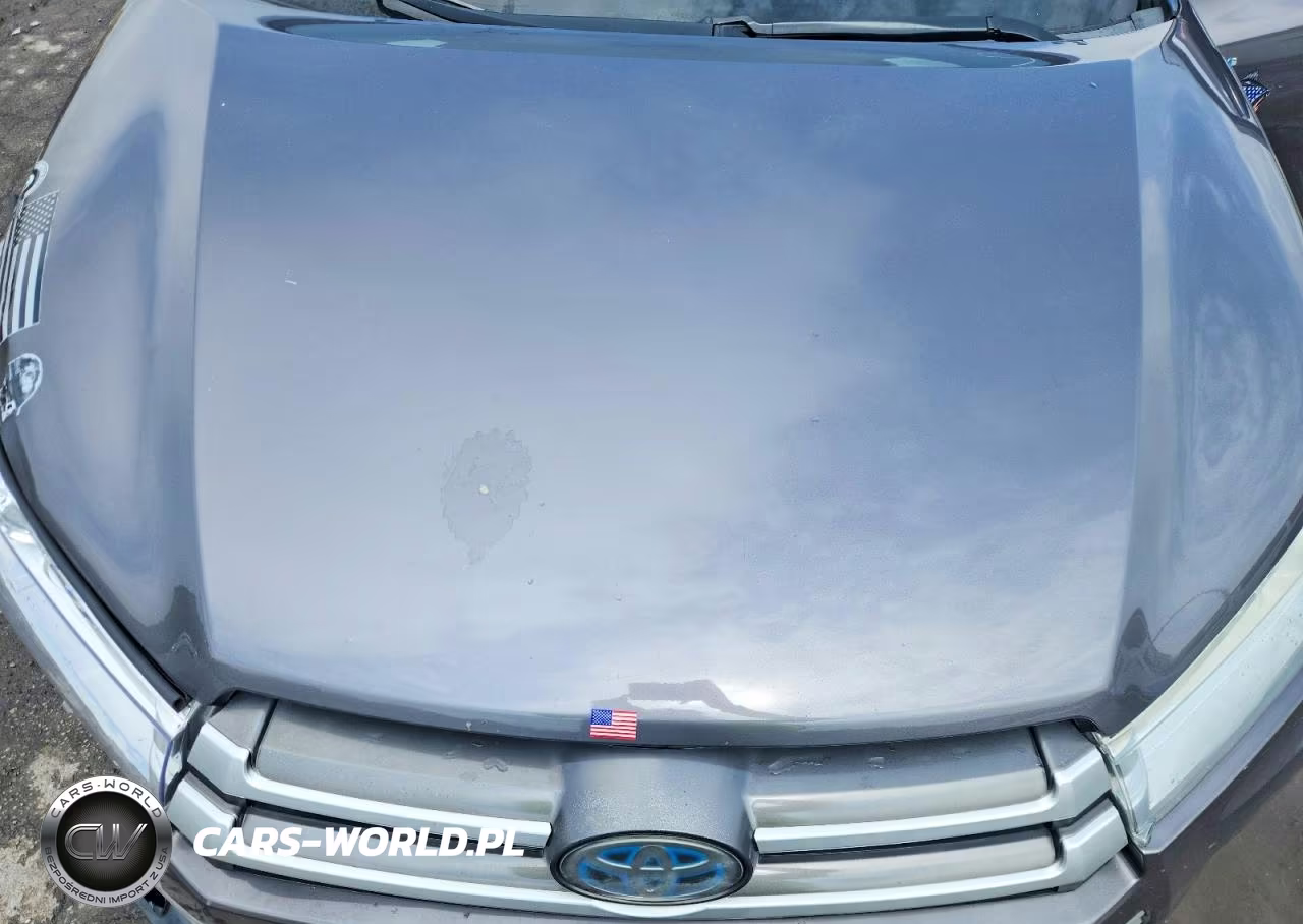2017 Toyota Highlander Hybrid Xle VIN:5TDJGRFH5HS026619 - 12