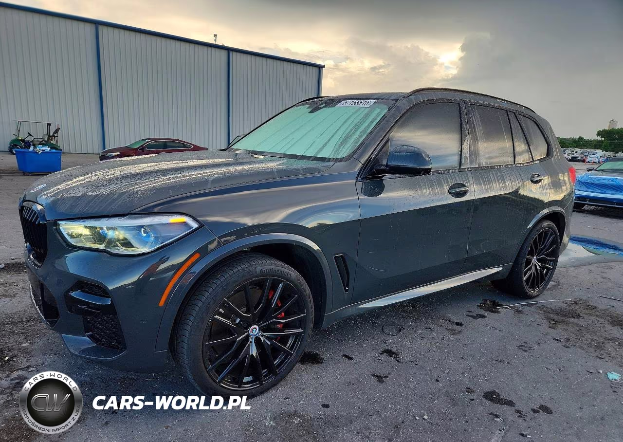 2023 BMW X5 M50I VIN:5UXJU4C00P9P48067 - 1