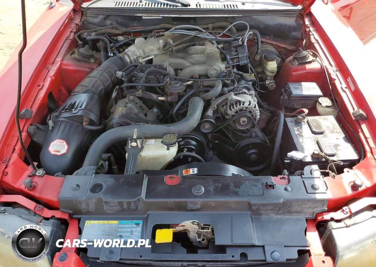 2004 Ford Mustang VIN:1FAFP44664F208095 - 11